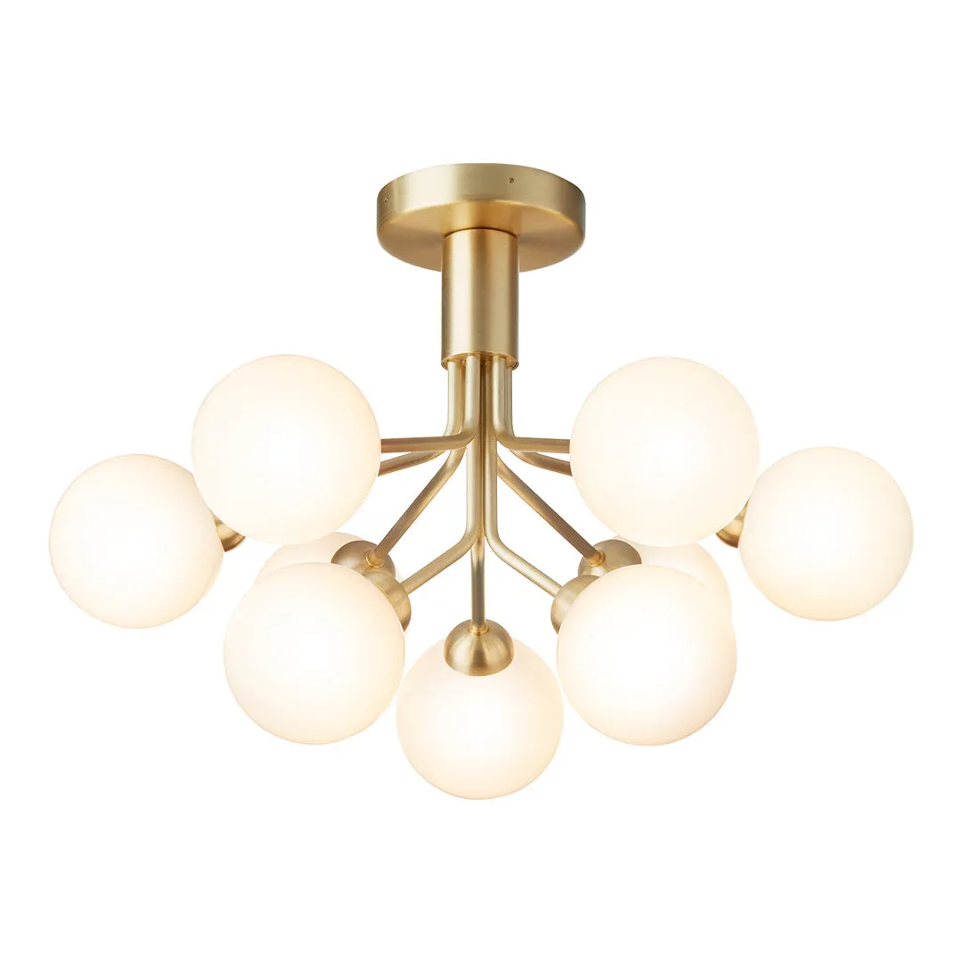 Apiales 9 Ceiling Fixture