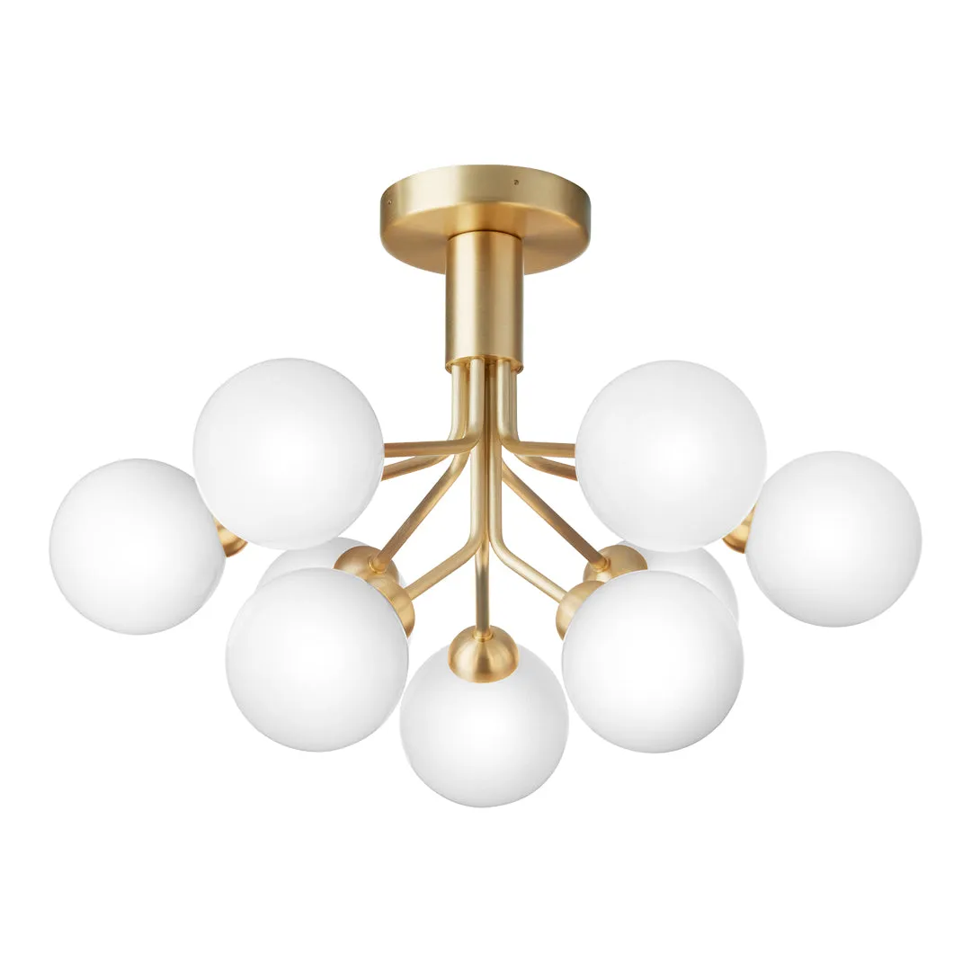 Apiales 9 Ceiling Fixture