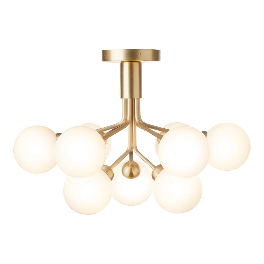 Apiales 9 Ceiling Fixture