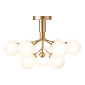 Apiales 9 Ceiling Fixture