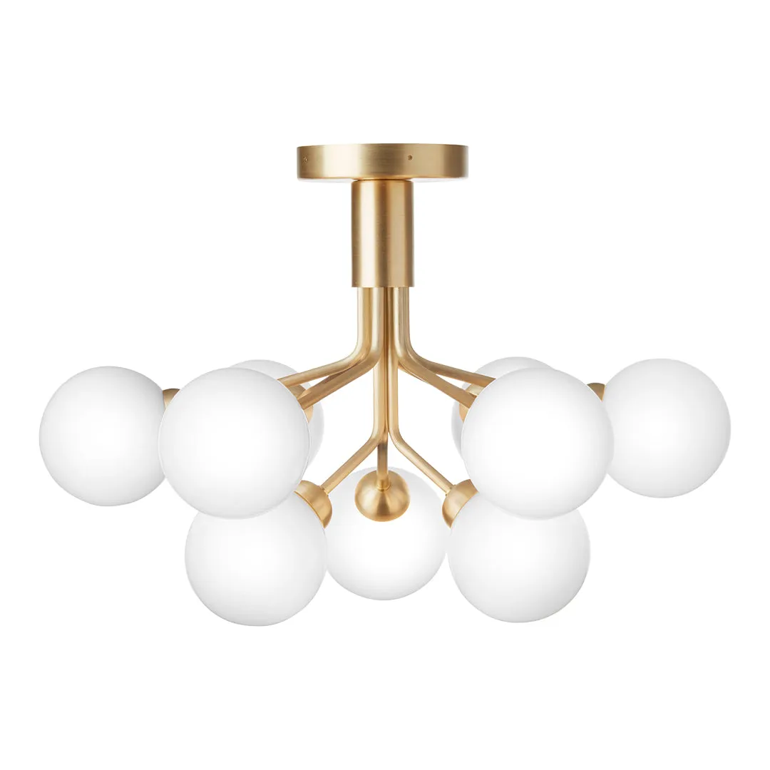 Apiales 9 Ceiling Fixture