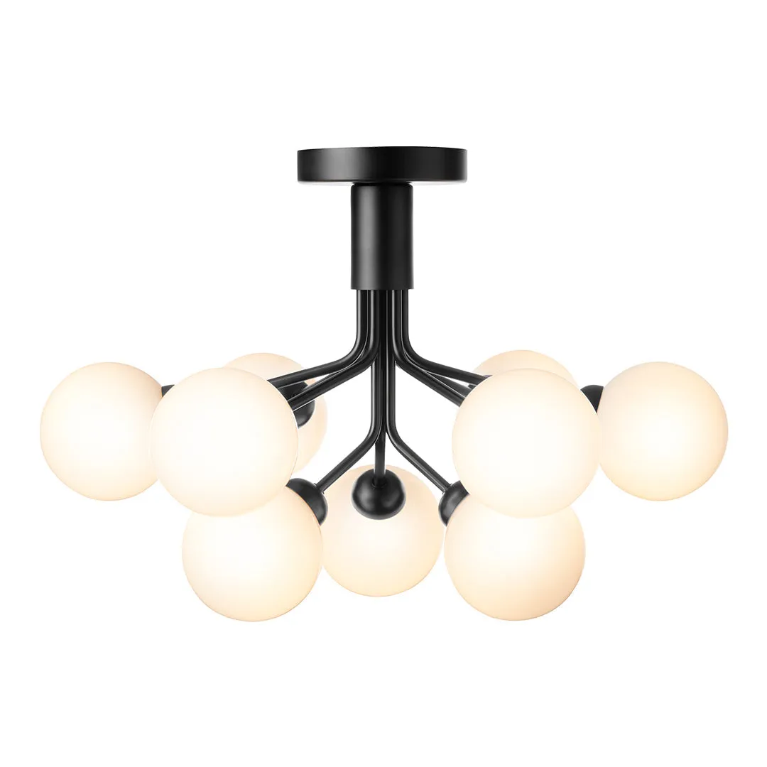 Apiales 9 Ceiling Fixture