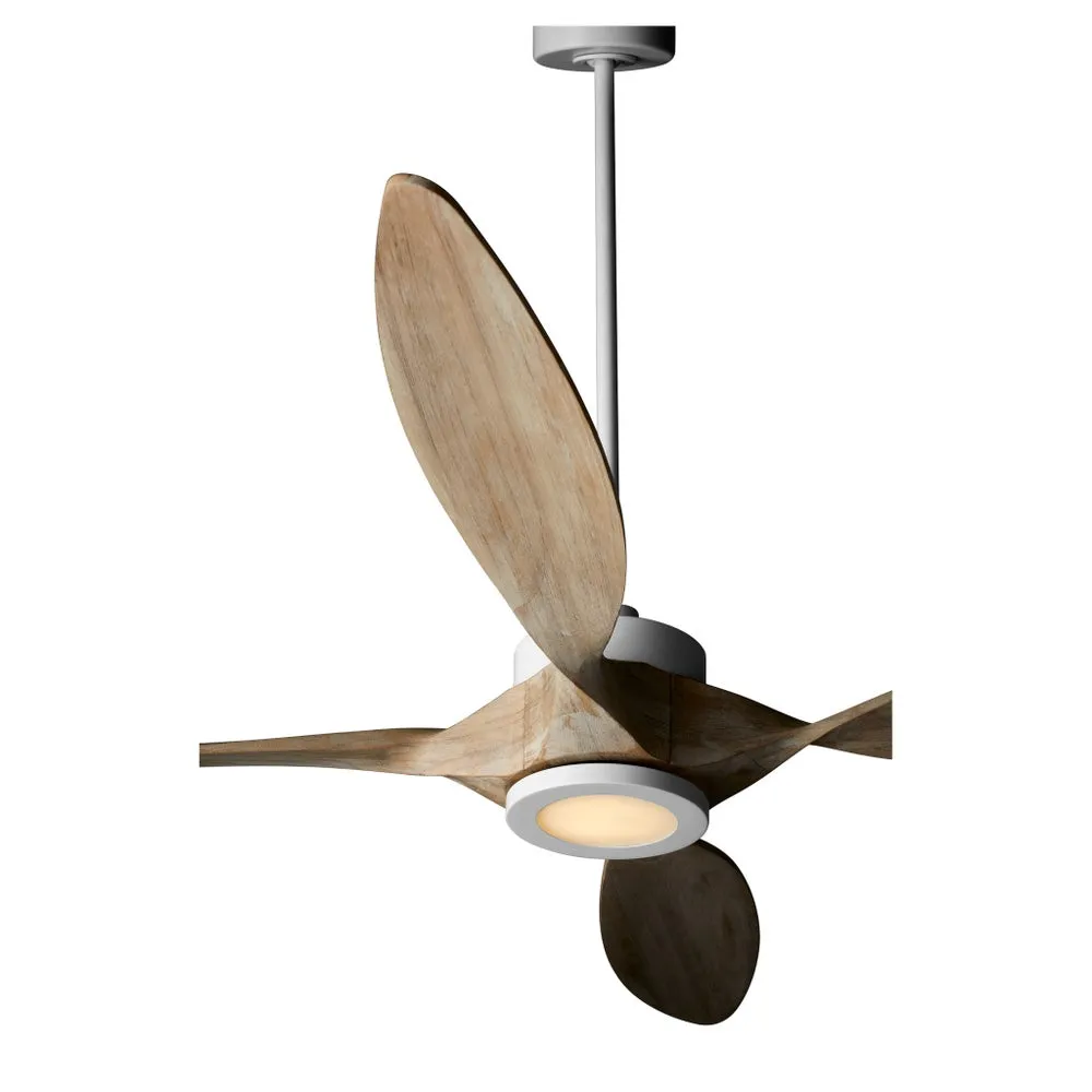 PAPILLON 66" WIFI CEILING FAN- WEATHERED GRAY/ STUDIO WHITE